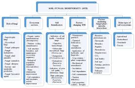 Pest control compared covers many types of services, including pest treatments, fumigation, corrective soil treatment, and disinfection services. Frontiers Fungal Biodiversity And Their Role In Soil Health Microbiology