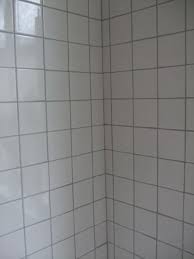 How To Update That Old Bath Tile Without Replacing It White Tile With Grey Grout White Tiles Grey Grout Color Bathroom Design White Tiles