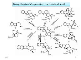 Image result for Corynanthe
