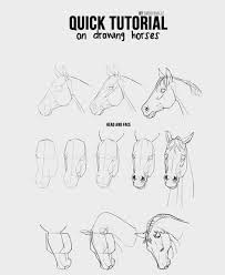Zeichenhilfen Horse Drawings Horse Sketch Horse Art Drawing