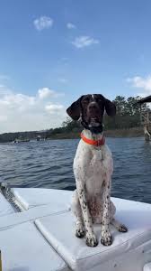 Exploring Real Life in the Outer Banks