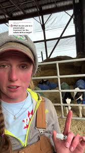 The Importance of Lungs in Dairy Farming