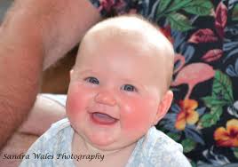 Sandra Wales Photography