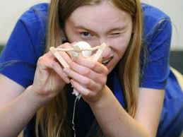 Efforts under way to get more women to lead, enter in-demand fields