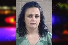 Michelle Plott — Whitfield County Jail Bookings