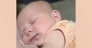 Community Submission, Author at SweetwaterNOW