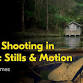 Hybrid Shooting in Nature: Stills & Motion with... event in Sherbrooke VIC