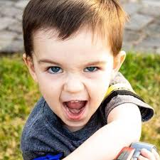 Addie Hampton and Lance Sheek's Wedding Website