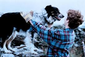 Owd Bob (movie, 1998)