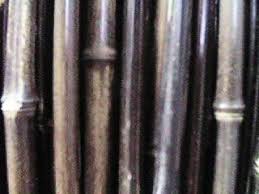 Boso bamboo bundles have a unique tone and response designed for low volume or light performance situations where maximum control is needed. Bamboo Poles