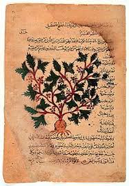 La taxonomía de plantas cultivadas es el estudio de la teoría y práctica de la ciencia que identifica, describe, clasifica y nombra a los cultígenos—aquellas plantas cuyo origen o selección está debido principalmente a la actividad humana intencional. Herbario Wikipedia La Enciclopedia Libre