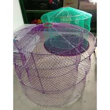 Maroon jual bangkok import impor laga selangor: Paling Laris Perkup Reban Bone Ayam Laga Ayam Sabung 2lapis 2layer Saiz 4kaki Shopee Malaysia