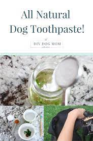 Dog Toothpaste Recipe Organic Dog Toothpaste Diy Toothpaste For Dogs All Natural Toothpaste For Dogs Eas Dog Toothpaste Diy Dog Toothpaste Diy Dog Stuff