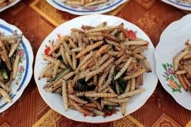 Check out our exotic food selection for the very best in unique or custom, handmade pieces from did you scroll all this way to get facts about exotic food? Food Asia Asian Food Exotic Food Insect Insects Laos Plate Thai Food Thailand Worm Worms By Urs Flueeler Photo Stock Snapwire