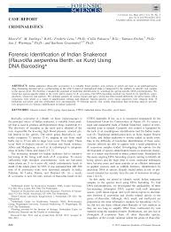 Image result for Rauvolfia mombasiana