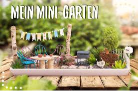 Mini Garten Sind Trend Bei Uns Gibts Alles Fur Die Kleine Oase Daheim Mini Garten Minigardening Homedeko Buttin Mini Garten Fee Gartenhauser Feengarten