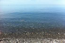 Всё это реальные примеры сегодняшних цен в сочи. Plyazhi Sochi 2021