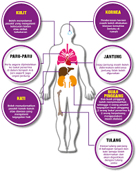 Kes ini akan dirujuk kepada pusat sumber transplan nasional. Here S How You Can Donate Your Organs After Death In Malaysia Penang Foodie