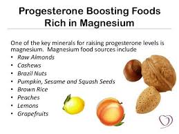 Progesterone Boosting Foods Rich In Magnesium Fertility Foods Progesterone Foods Increase Progesterone Naturally