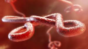 Ebola is a rare but deadly virus that causes fever, body aches, and diarrhea, and sometimes bleeding inside and outside the body. Idlwqdvqq0qjam