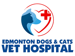 *we are open with new operating hours. Edmonton Dogs Cats Veterinary Hospital New Procedures We Are Still Here For You Veterinary Services Are Essential To Ensure The Health And Safety Of Pets And Therefore We