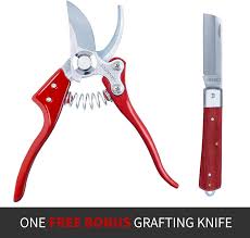 Amazon.com : VANNECT Bypass Pruning Shears, Professional Sharp Garden  Shears, Hand Pruner，Tree Trimmers Secateurs, One-Hand Safety Lock, Grafting  Knife Included (Upgraded) : Patio, Lawn & Garden