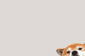 Dog Aesthetic Wallpapers Top Free Dog Aesthetic Backgrounds Wallpaperaccess Discover the magic of the internet at imgur, a community powered entertainment destination. dog aesthetic wallpapers top free dog