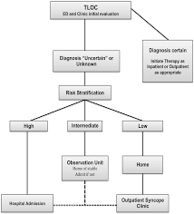 figure 1 from syncope assessment of risk and an approach to