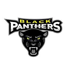 The nhl's department of player safety announced on monday afternoon. Pin By Colin Lin On Cool Sport Logo Black Panther Panthers Panther Logo
