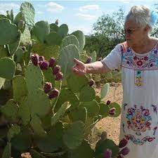 Prickly pears are a cactus fruit, and studies show they help reduce symptoms when taken before drinking. Arizona Cactus Ranch 100 Pure Prickly Pear About Us