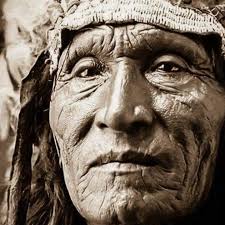 Photo by Jill Sattler Studio (@jillsattler) · November 5, 2025