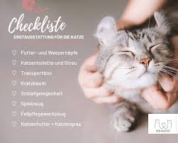 Katze Halten Die Besten Tipps Rund Um Die Katzenhaltung Mein Haustier In 2020 Katzen Katzenhaltung Katze Aus Tierheim