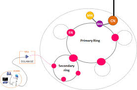 You'll find about backbone.js features. Simple Model Of A Backhaul Network Ii 1 3 Backbone Network The Core Download Scientific Diagram