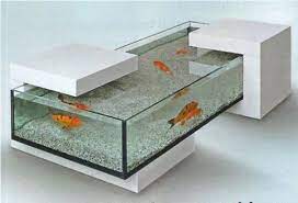 Professeur patrick chaput montre un attaque sur la position tortue. 1000 Images About Fish Tanks On Pinterest Fish Tanks Aquarium And Coffee Fish Tank Coffee Table Aquarium Coffee Table Coffee Table Design