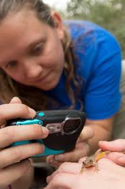 Park Service, UWF Students Monitor National Seashore For Invasive Species