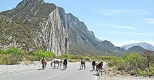 A fost creat pentru a proteja peisajele înalte. Cele Mai Mari Parcuri NaÈ›ionale Din Mexic 2021