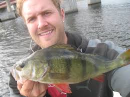 Daniel Bodin med to kilos abborer