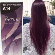 New Berina A14 Hair Cream Dye Permanent Color Professional Free Shipping Ebay Hair Color Cream Burgundy Hair Dark Purple Hair