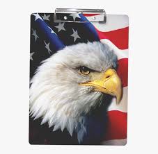 Please, do not forget to link to beşiktaş logo arması, bjk logosu amblemi png … Yolunmus Kartal Bjk Hd Png Download Transparent Png Image Pngitem