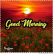 Choose the perfect good morning picture for you with our handpicked collection. Good Morning Sunrise With Flowers Smitcreation Com