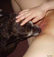 Cachorro mamando em mulher