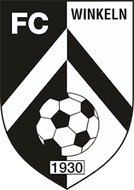 Martin braithwaite (fc barcelona), andreas cornelius (parma), andreas skov olsen (bologna), yussuf poulsen (rb lipsk), kasper dolberg (nice), jonas wind (fc kopenhaga) kadra finlandii na euro 2021 skład reprezentacji ogłoszony 1 czerwca Fc Lugano Logo Download Logo Icon Png Svg