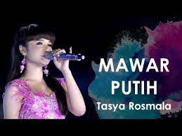 Lirik lagu keranda cinta chord lagu hitam bukan putih. Koplo Pongdut Mawar Putih Tasya Rosmala Facebook