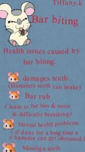 What happens if a hamster bites a bar cage? Bar Biting Hamsterwelfare Com Welfare Advice Evidence Care Information
