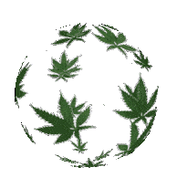 Happy 420, sharing an image of rapper snoop dogg and actor seth rogen appearing to smoke cannabis. 420 Gifs Tenor