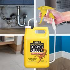 Provides kill on contact and offers residual control for up to 6 weeks. Amazon Com Harris Scorpion Killer Liquid Spray With Odorless And Non Staining Formula Gallon Home Pest Control Sprayers Garden Outdoor