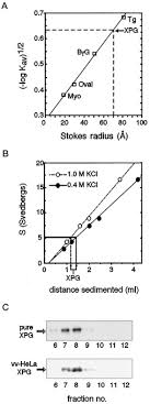 Canon imagerunner advance c5051/5045/5035/5030 series parts catalog. Conserved Residues Of Human Xpg Protein Important For Nuclease Activity And Function In Nucleotide Excision Repair Sciencedirect