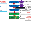 9 aerobic energy production from fat fatty acids are broken down by a process called. Https Encrypted Tbn0 Gstatic Com Images Q Tbn And9gcqxbqdkeojp0im1 0trwhdiwjfiytvanaw2vygod1dxxqc6hgpn Usqp Cau