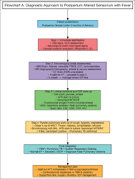 Image result for Postpartum Fever