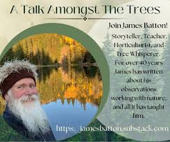 The James Batton Show